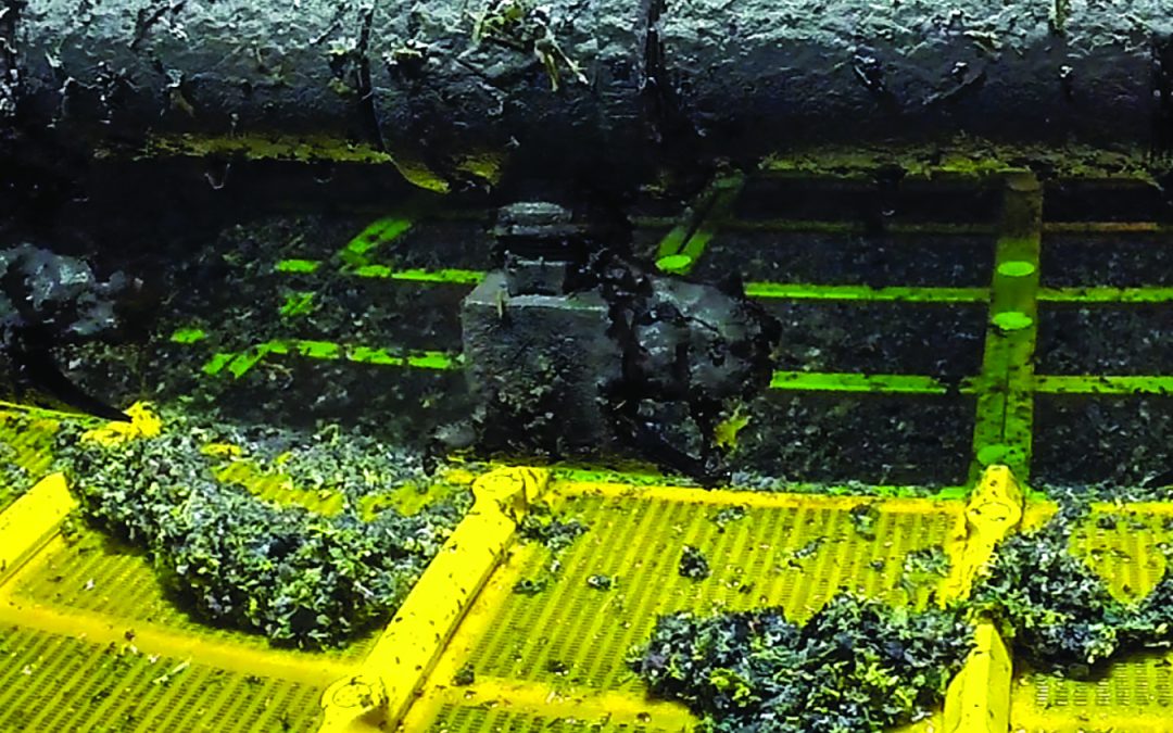 Lowering Screening Cost per Ton in Mining and Aggregates
